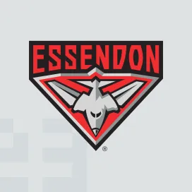 Essendon bombers